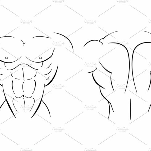 Bodybuilder torso. Vector cover image.
