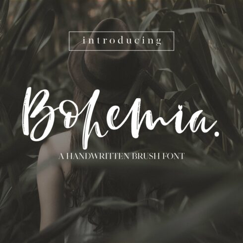 Bohemia | Brush Script cover image.