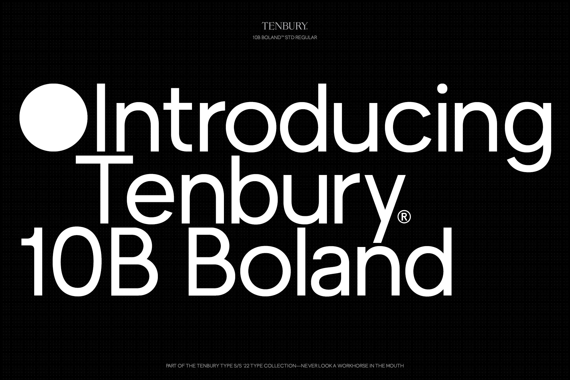10B Boland: Timeless Geometric Sans cover image.