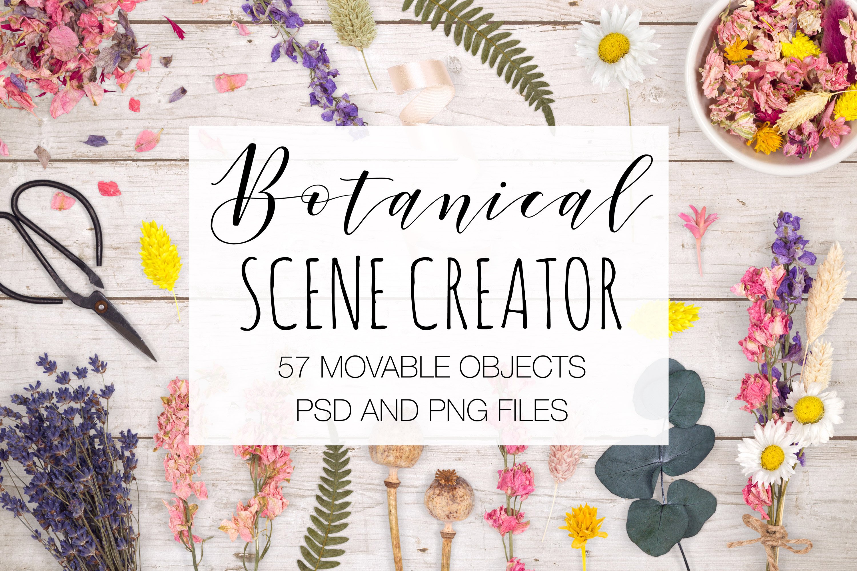 Botanical Scene Creator cover image.