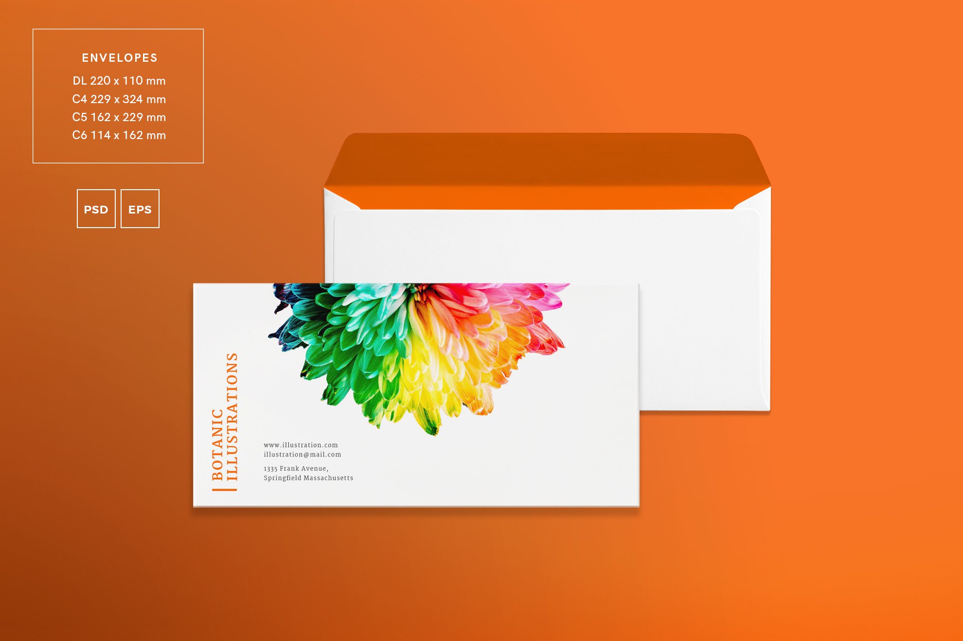 Branding Pack | Botanic preview image.