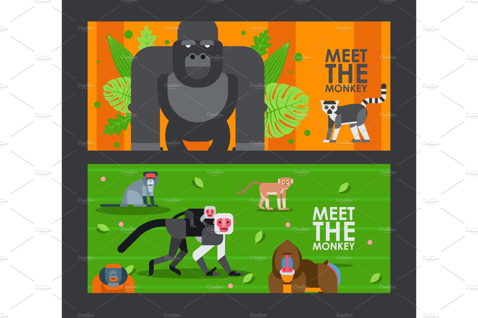 Apes and monkeys in flat style cover image.