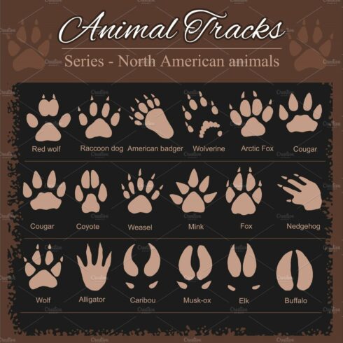 Animal Footprints - North American cover image.