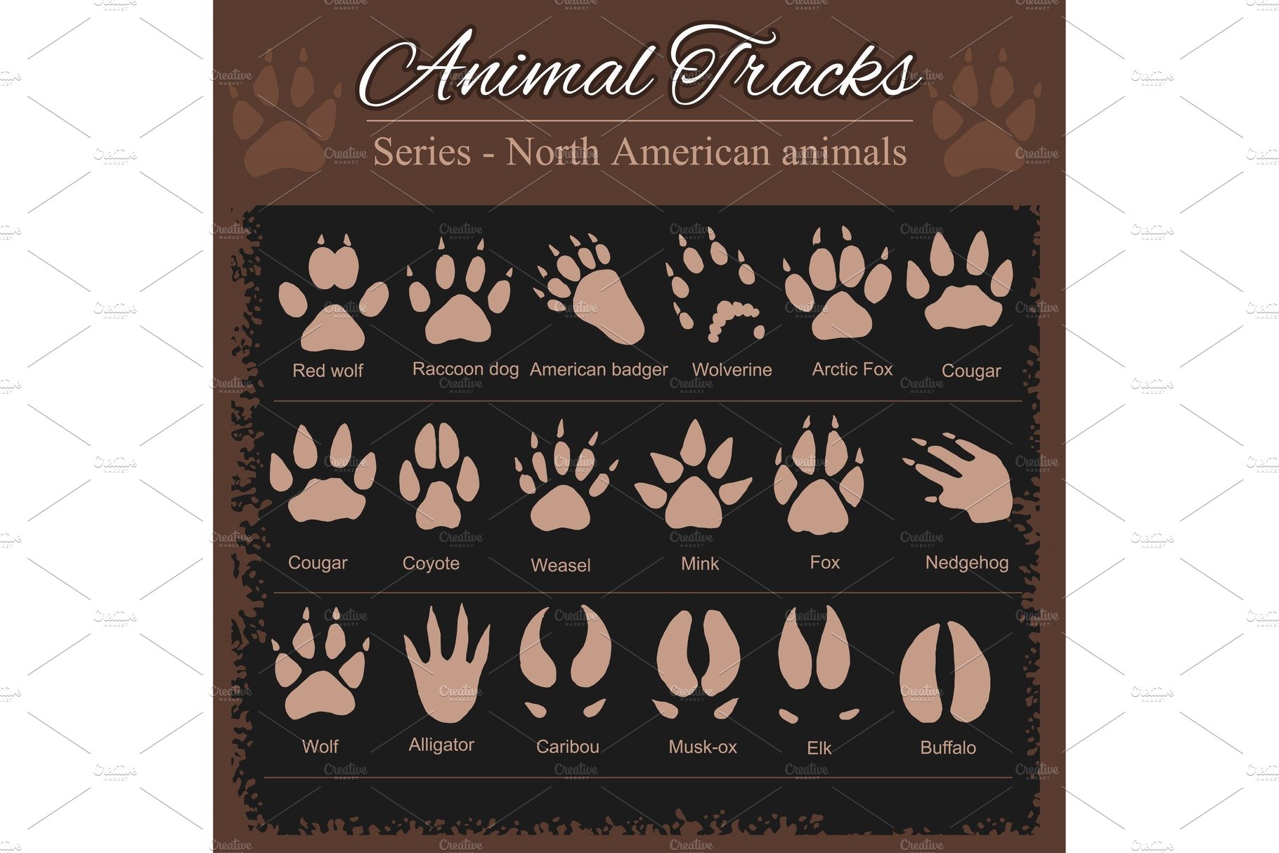 Animal Footprints - North American cover image.