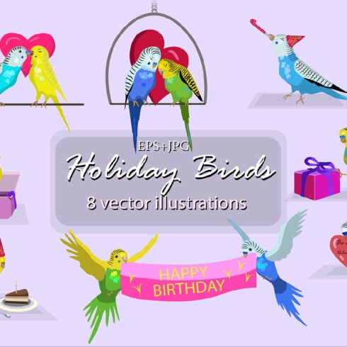 Holiday budgie birds vector set cover image.