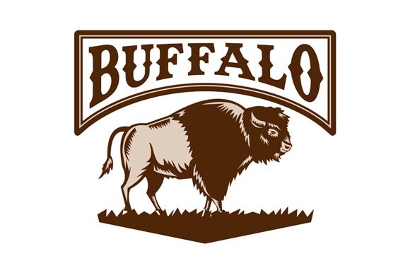 Buffalo American Bison Side Woodcut cover image.