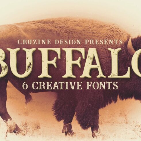 Buffalo Typeface cover image.