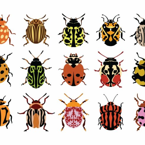 Bug Vector & PNG Illustration cover image.