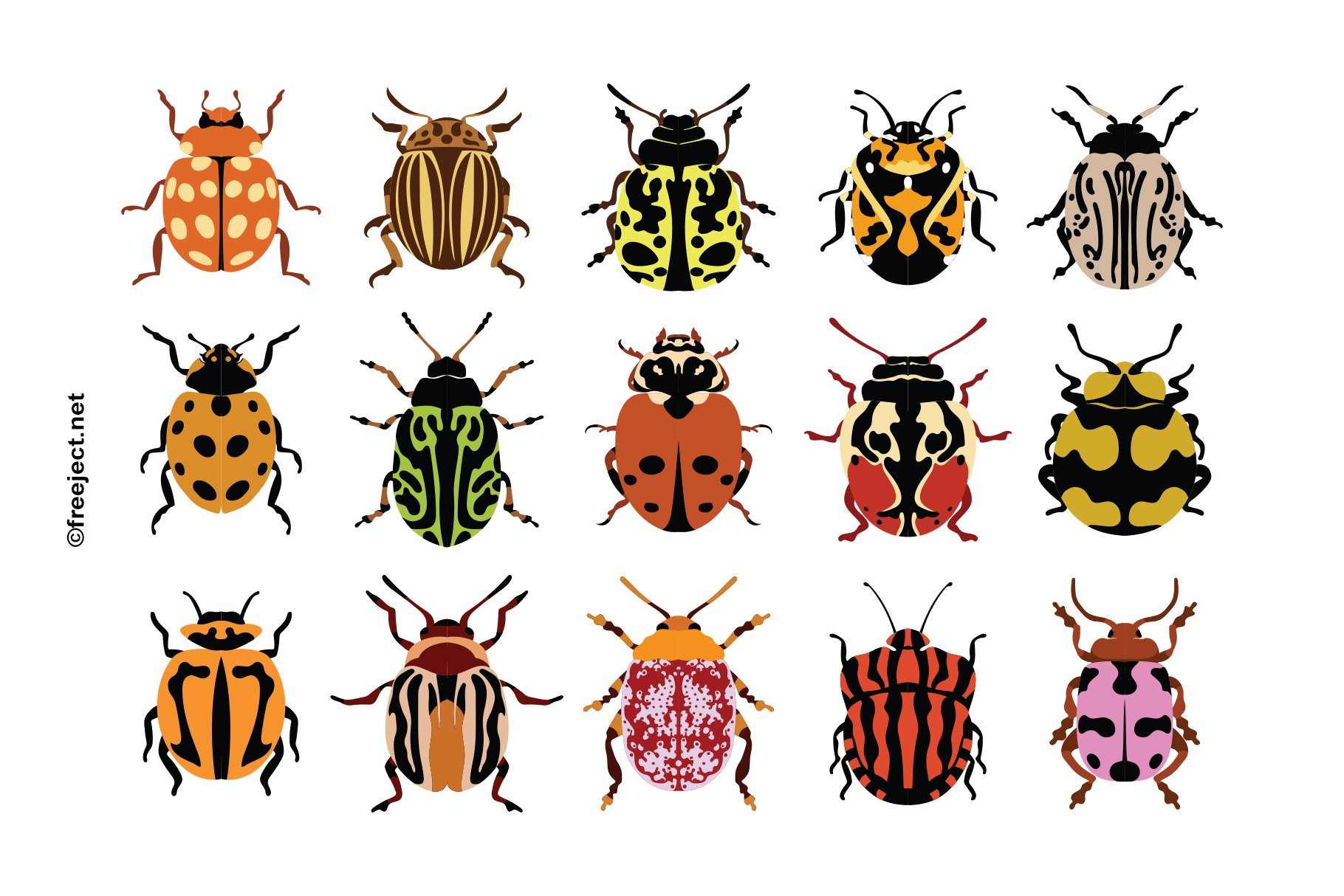 Bug Vector & PNG Illustration cover image.