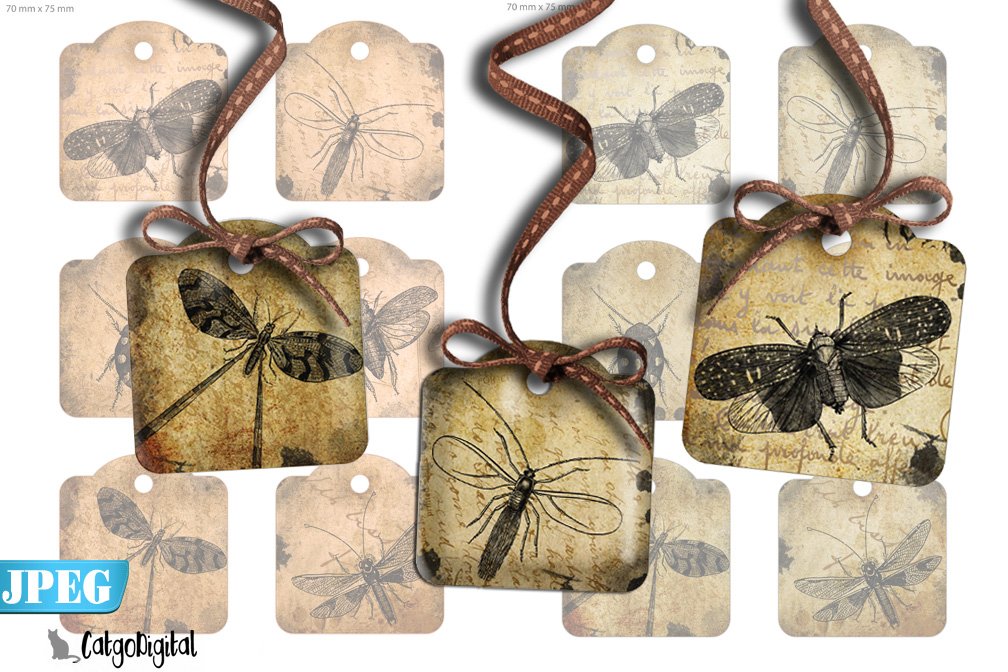 Steampunk Bug Tags Scrapbooking cover image.