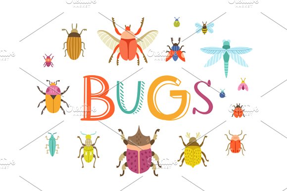 Bugs cover image.