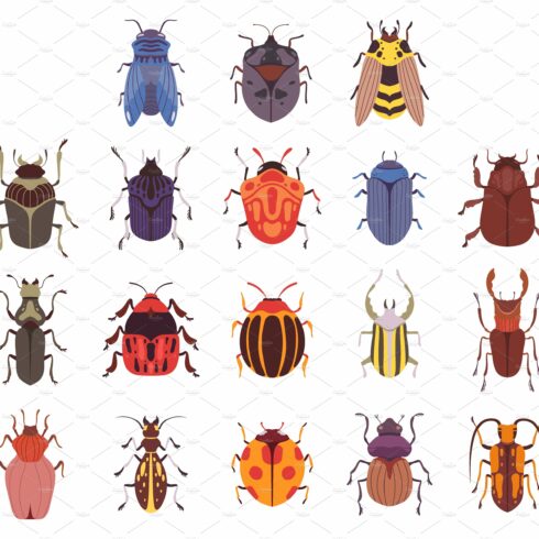 Bug and Beetle Insects Species cover image.