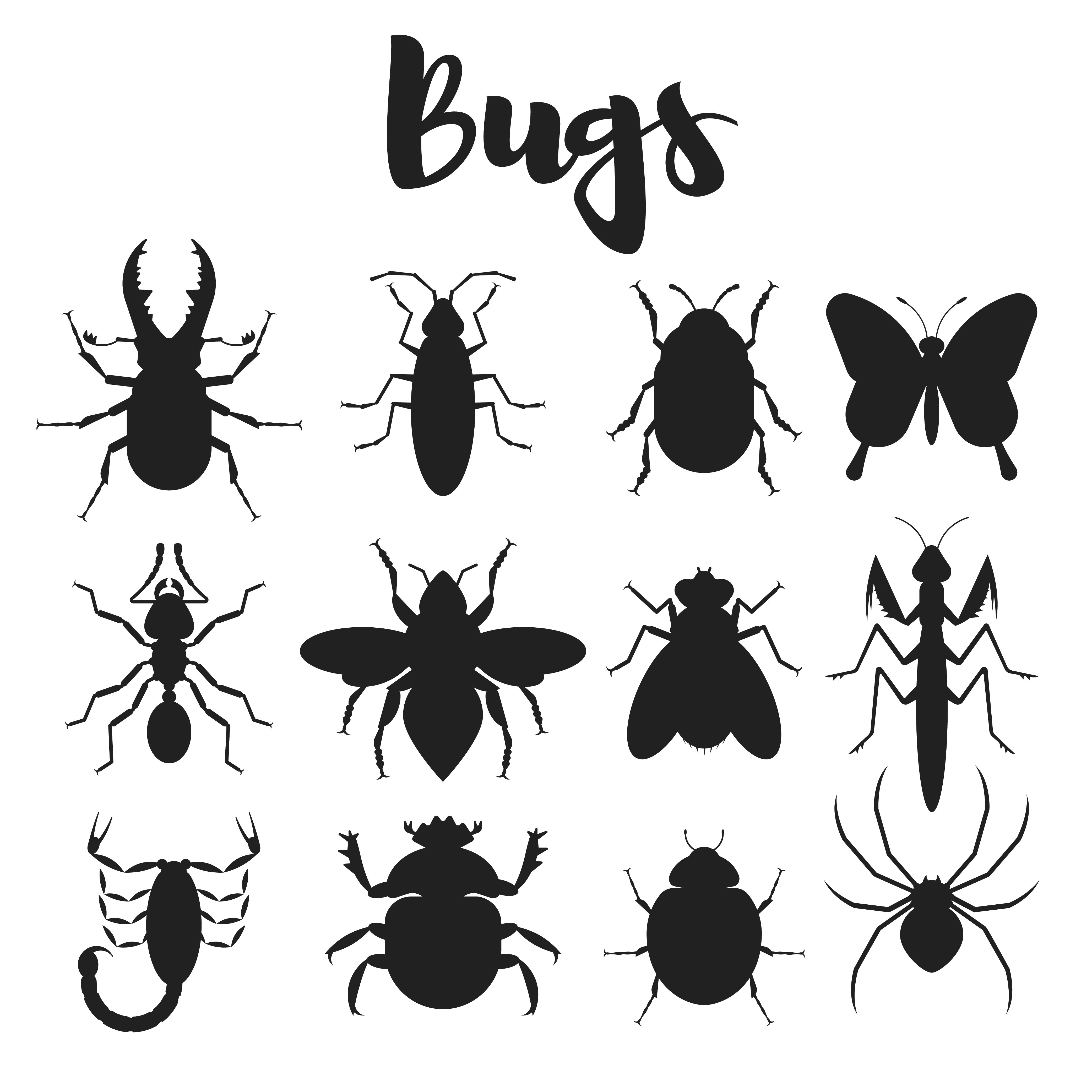 bugs set black 448
