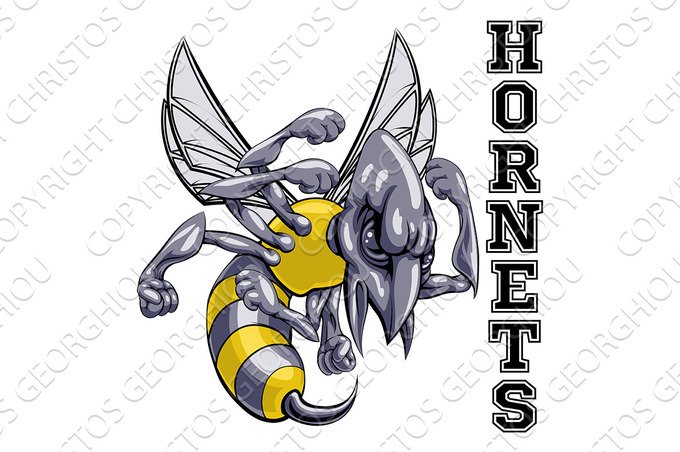 Hornets Mascot cover image.