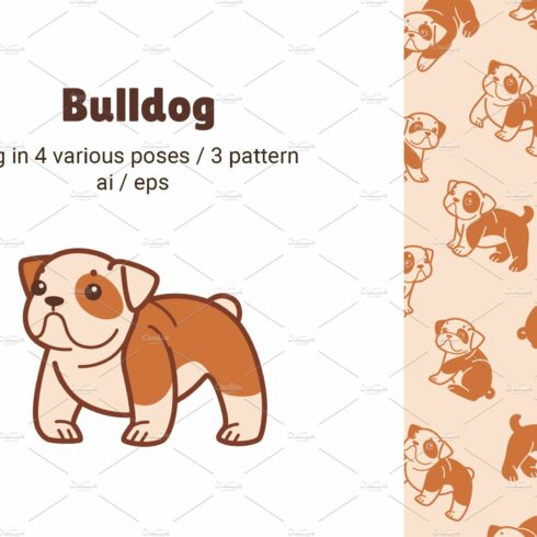 Cute Bulldog + pattern cover image.