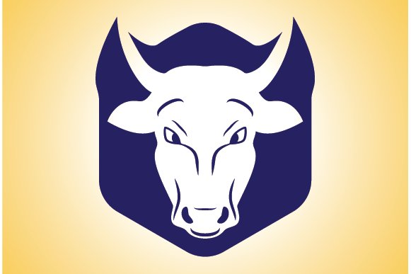 Bull Logo preview image.