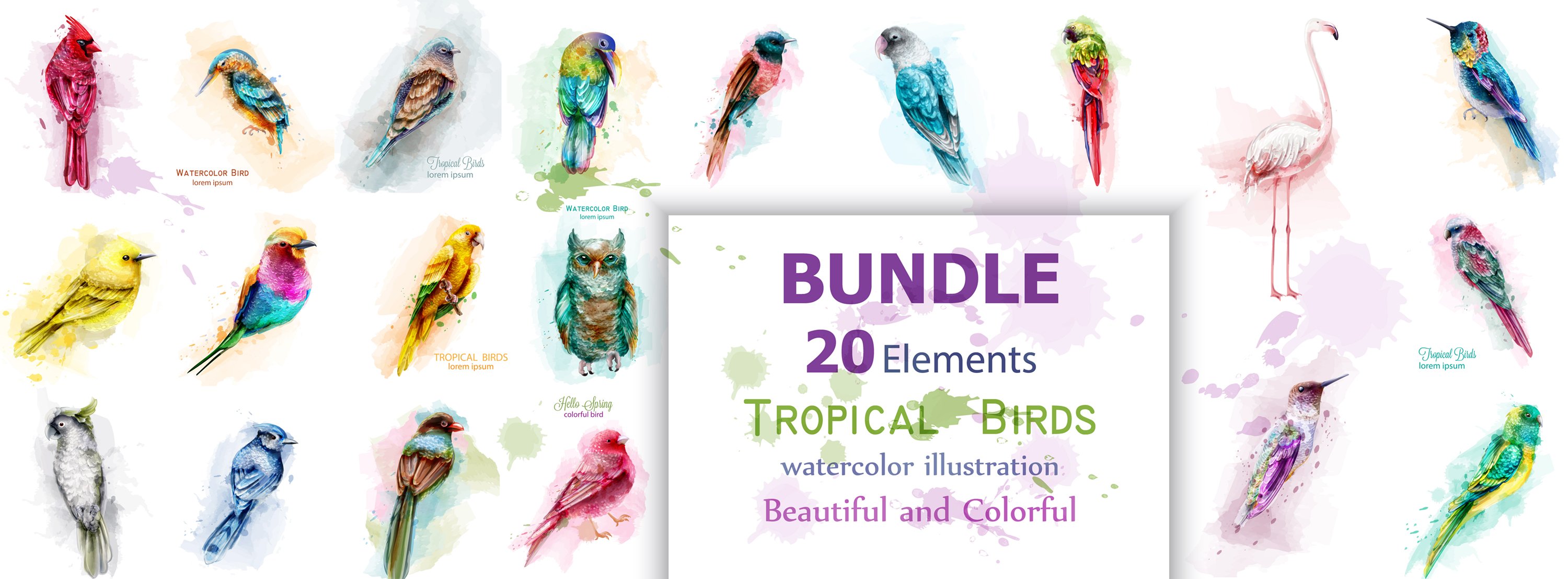 20 bundle watercolor birds cover image.
