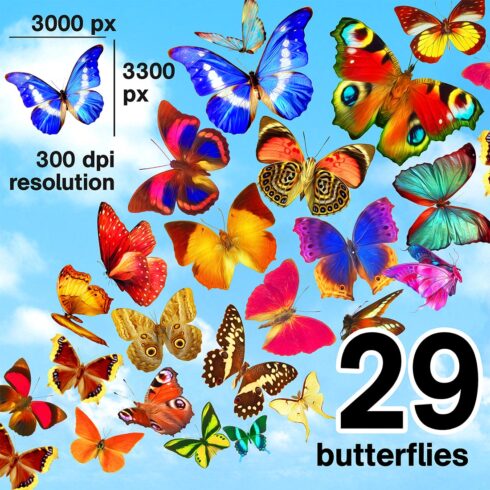 Realistic Butterflies cover image.