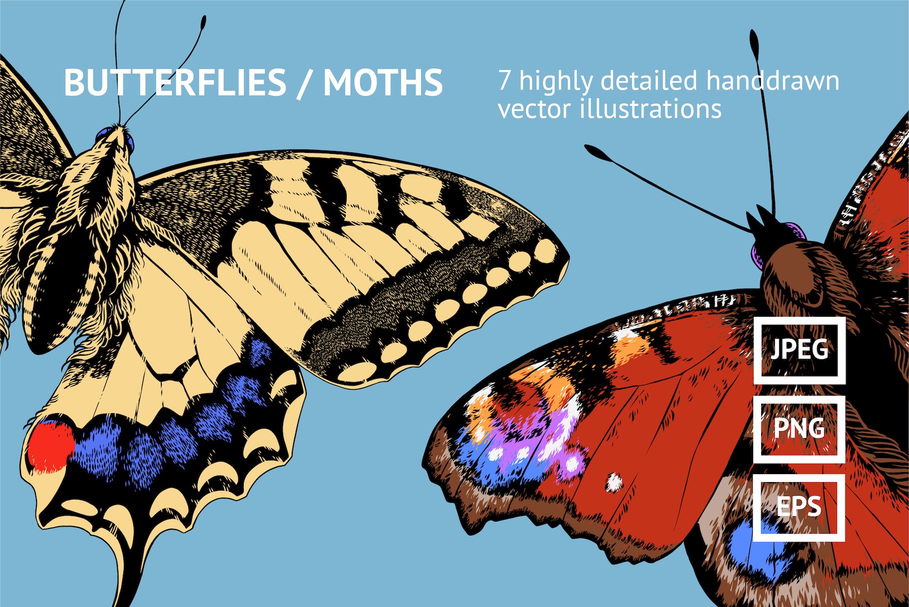 Butterflies / Moths cover image.