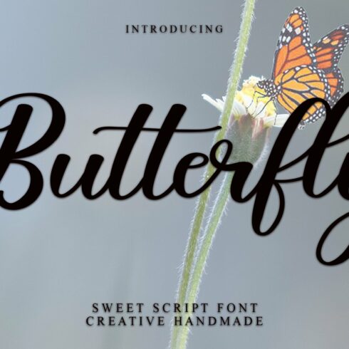 Butterfly - Handwriting Font cover image.