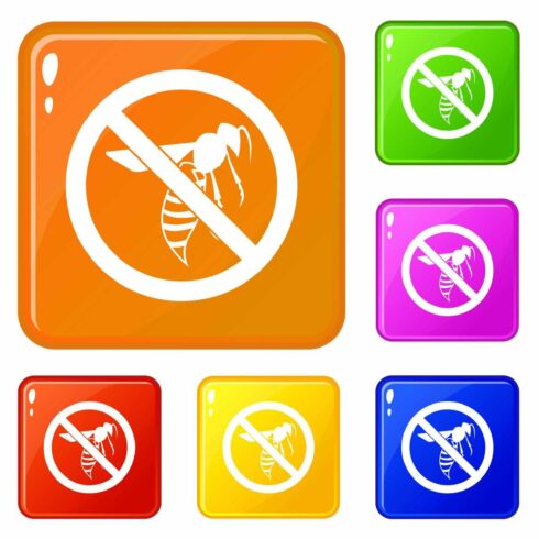 No wasp sign icons set vector color cover image.