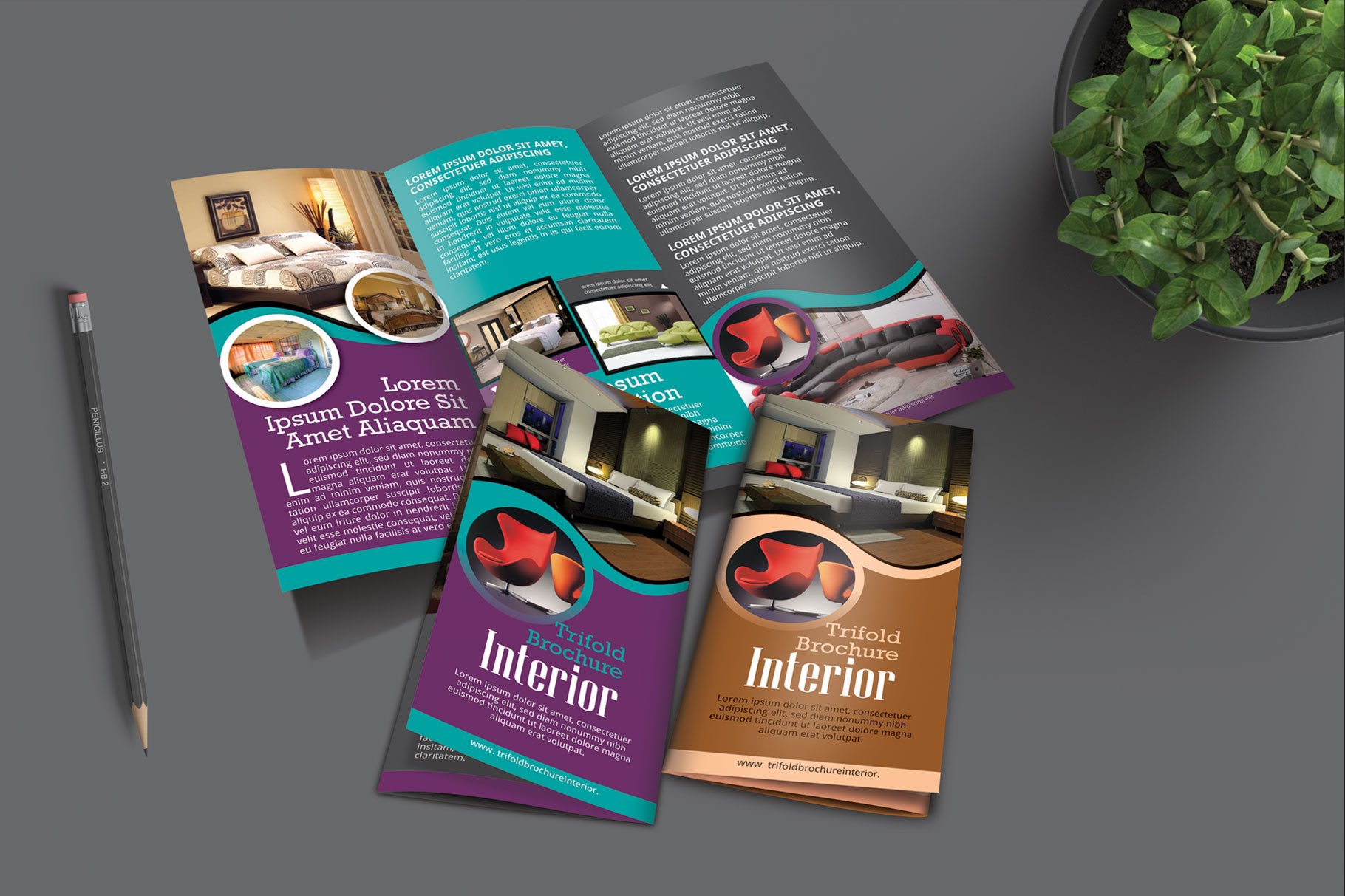 Interior  - Trifold Brochure cover image.