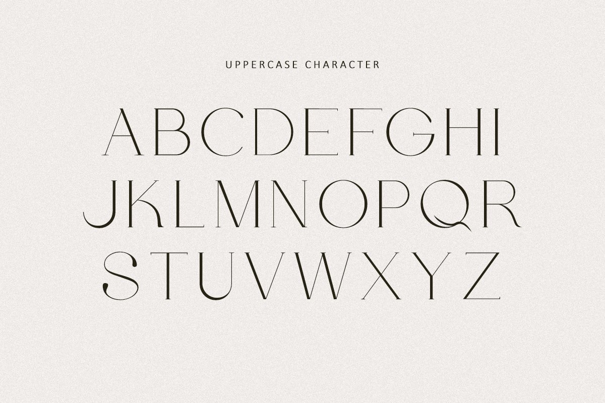 Leony - Elegant Serif preview image.