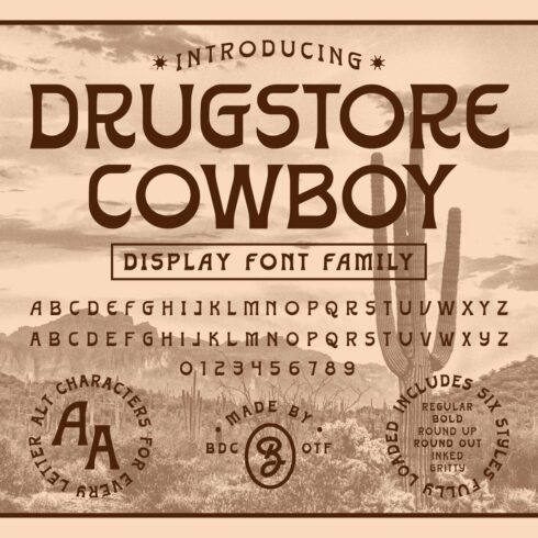 Drugstore Cowboy Font Family cover image.