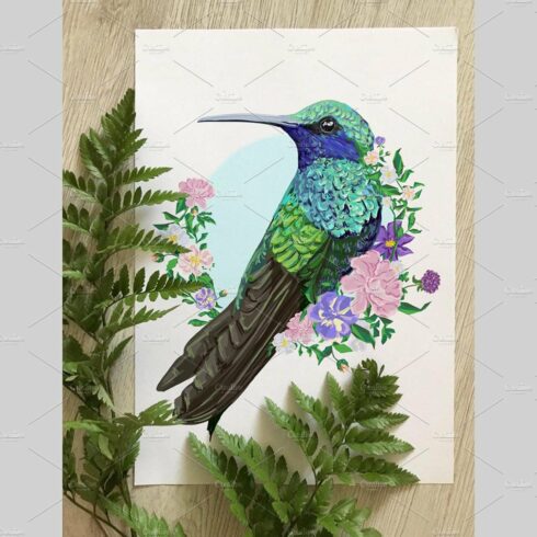 Hummingbird (colibri) illustration cover image.