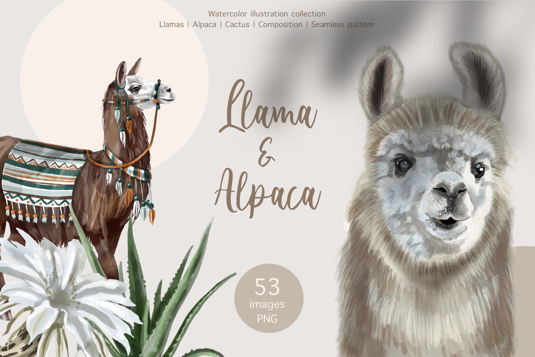 Watercolor LLama & Alpaca cover image.