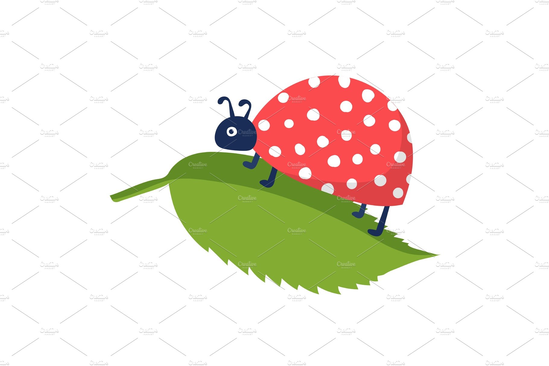 Springtime cute wild ladybug cover image.