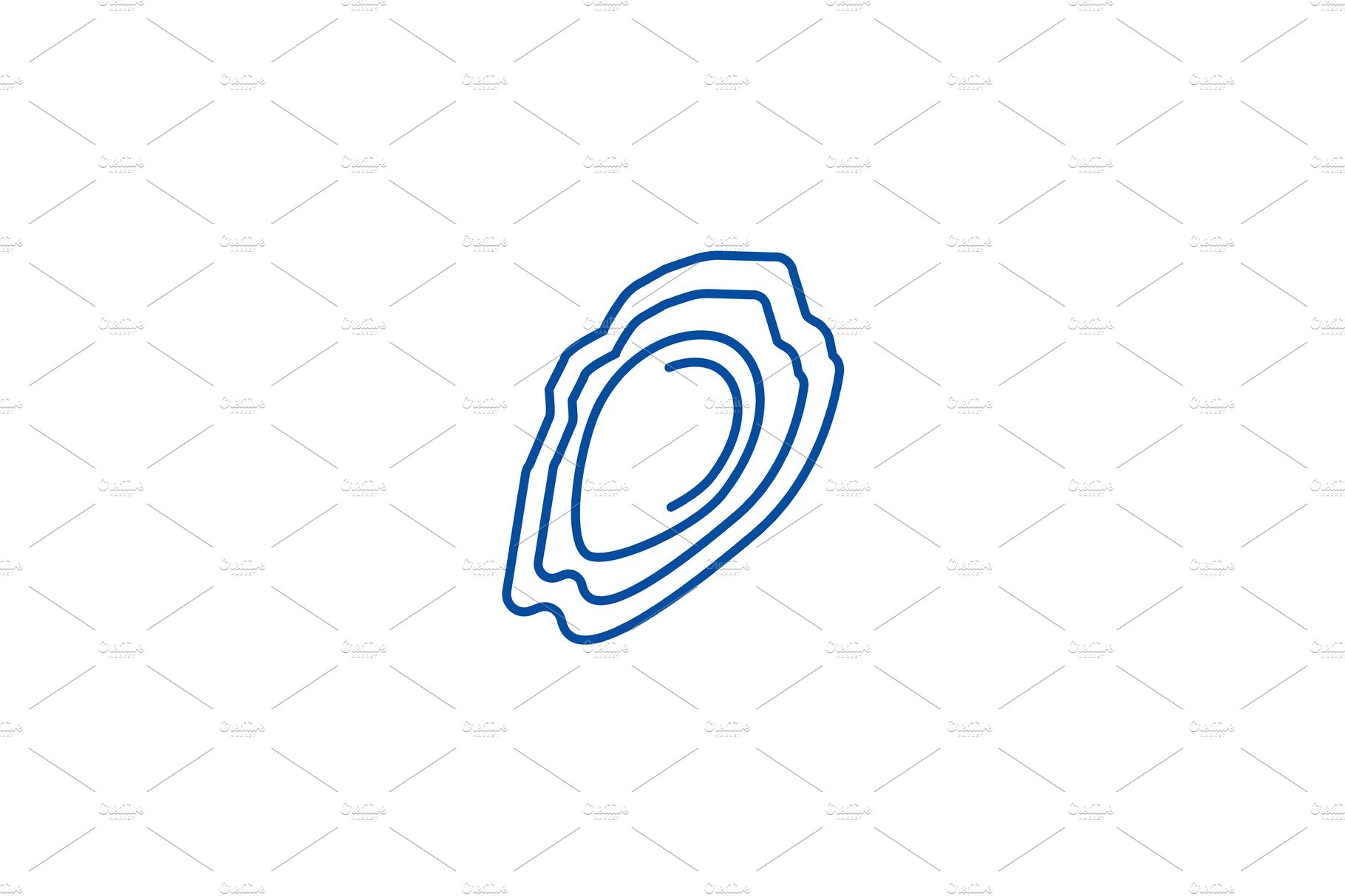 Oyster line icon concept. Oyster cover image.
