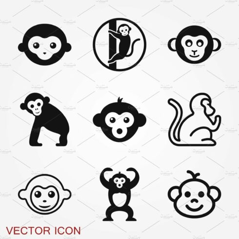 Vector monkey icon isolated on cover image.