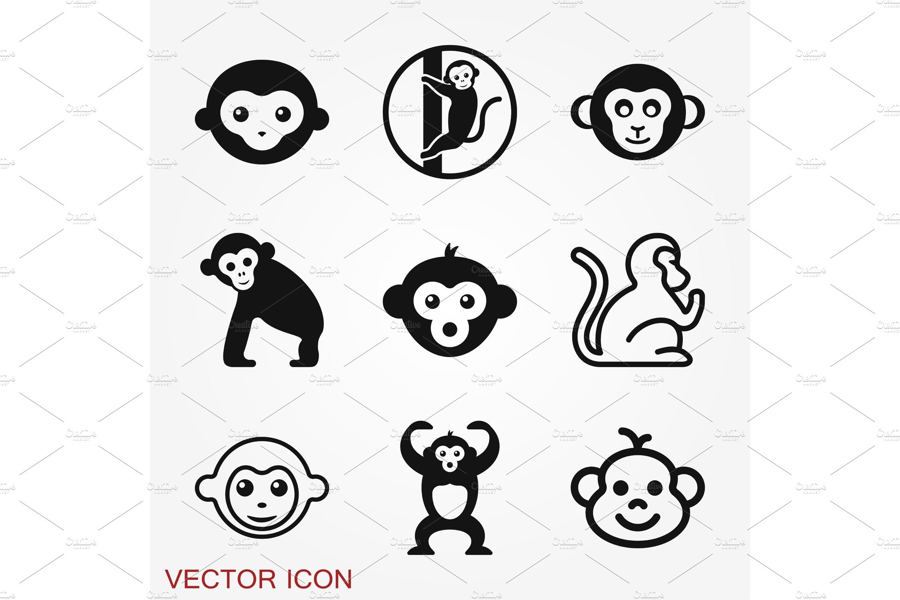 Vector monkey icon isolated on cover image.