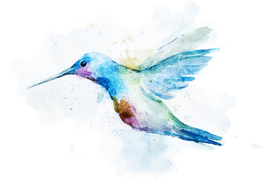 Watercolor colibri set preview image.