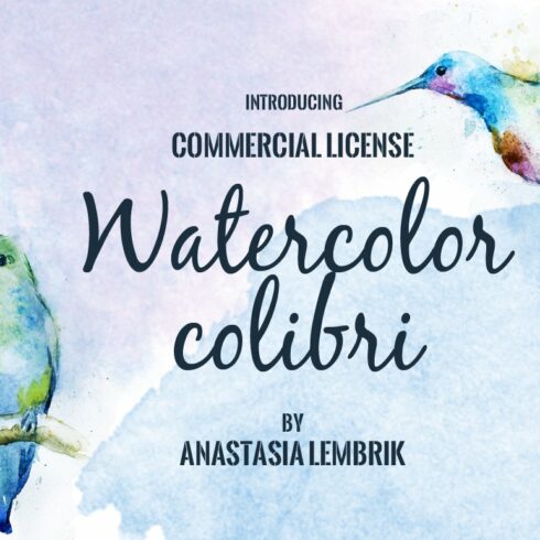 Watercolor colibri set cover image.