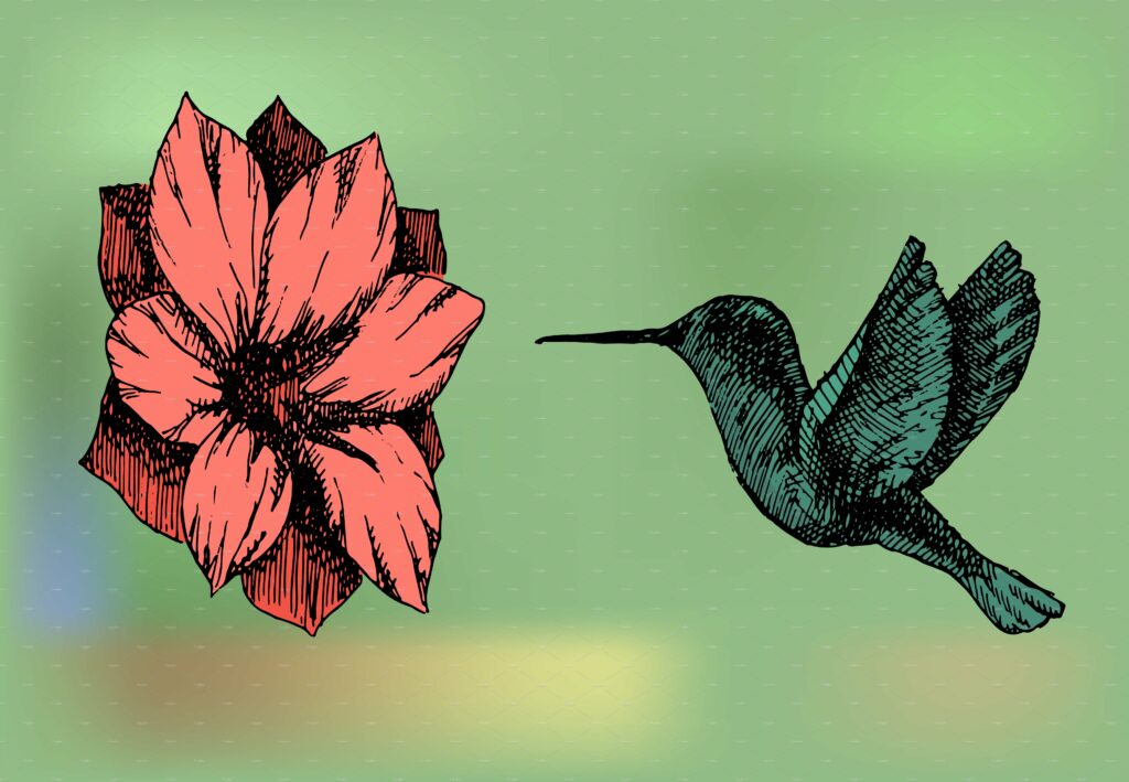 Hand drawn hummingbirds near flowers – MasterBundles