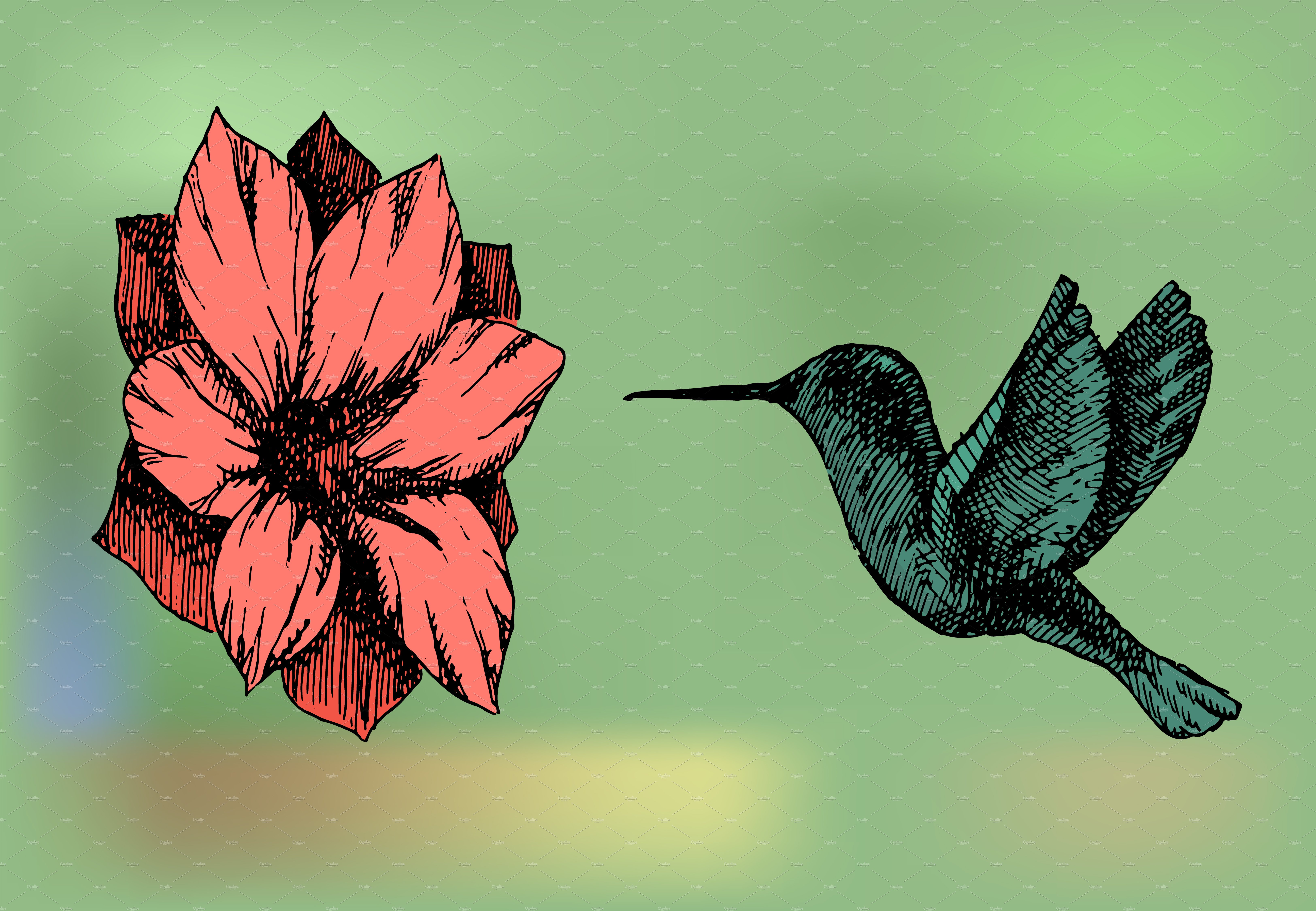 Hand drawn hummingbirds near flowers cover image.