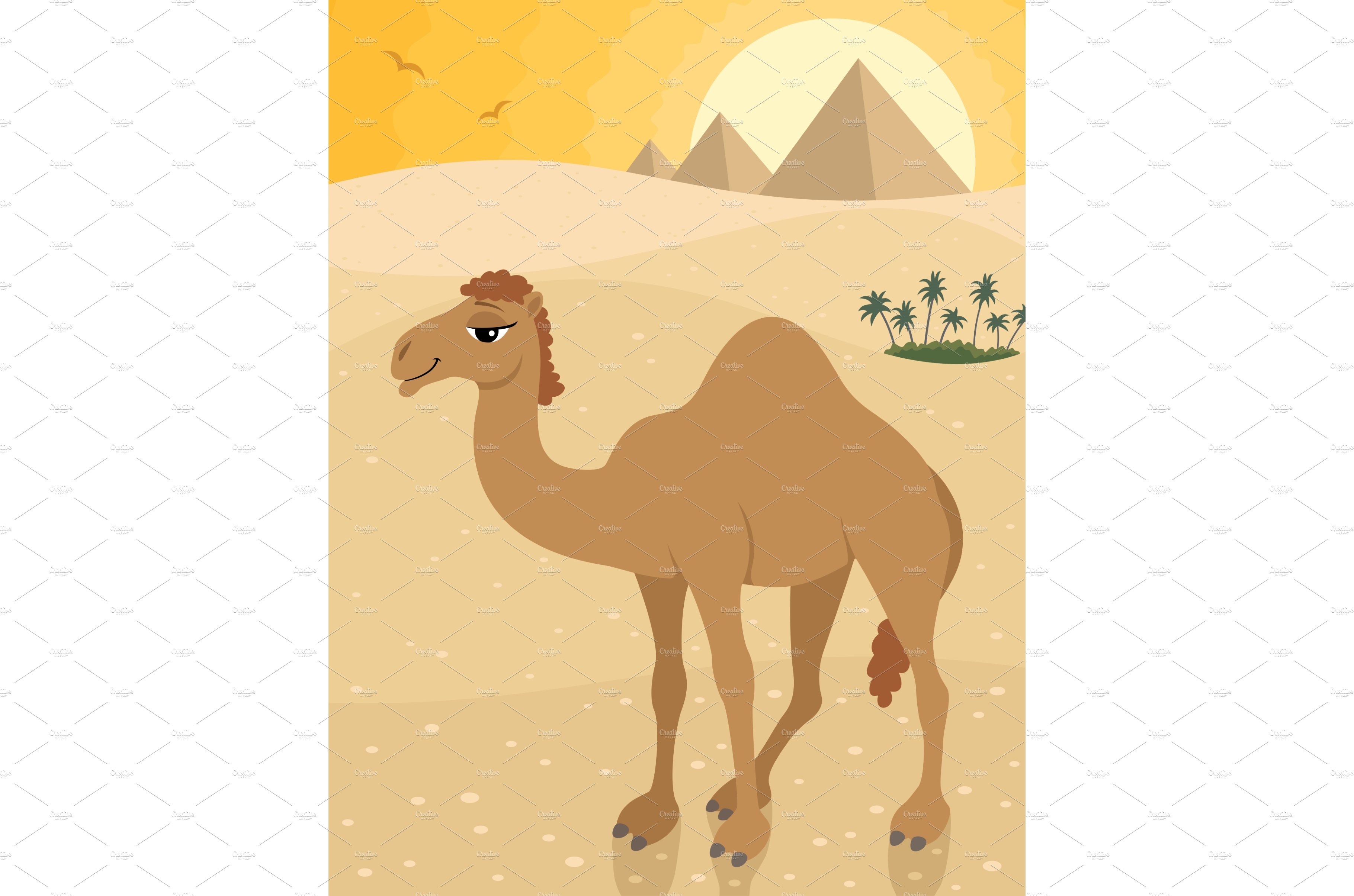 Camel cover image.