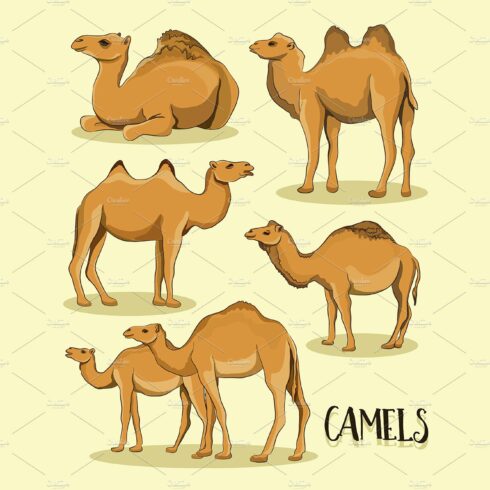 Camel Silhouettes set cover image.