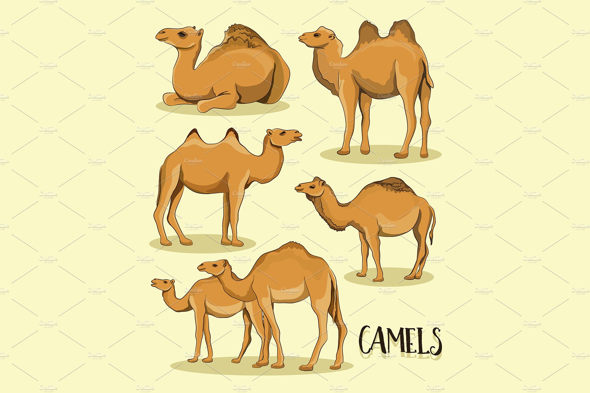 Camel Silhouettes set cover image.