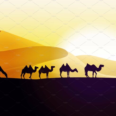 Camels caravan cover image.