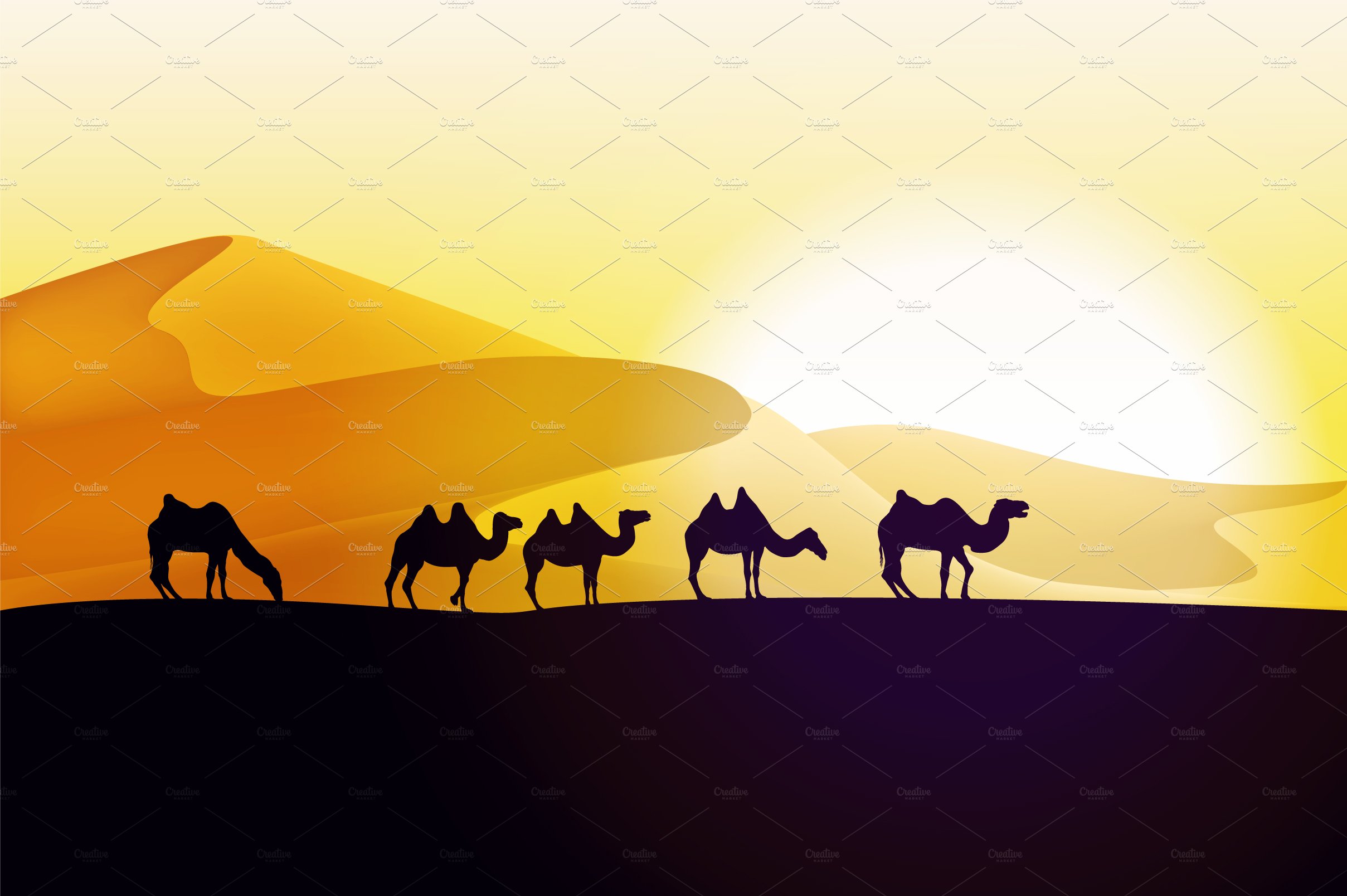 Camels caravan cover image.