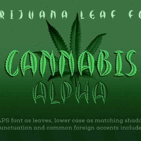 Cannabis Leaf Font - Hemp Leaf cover image.