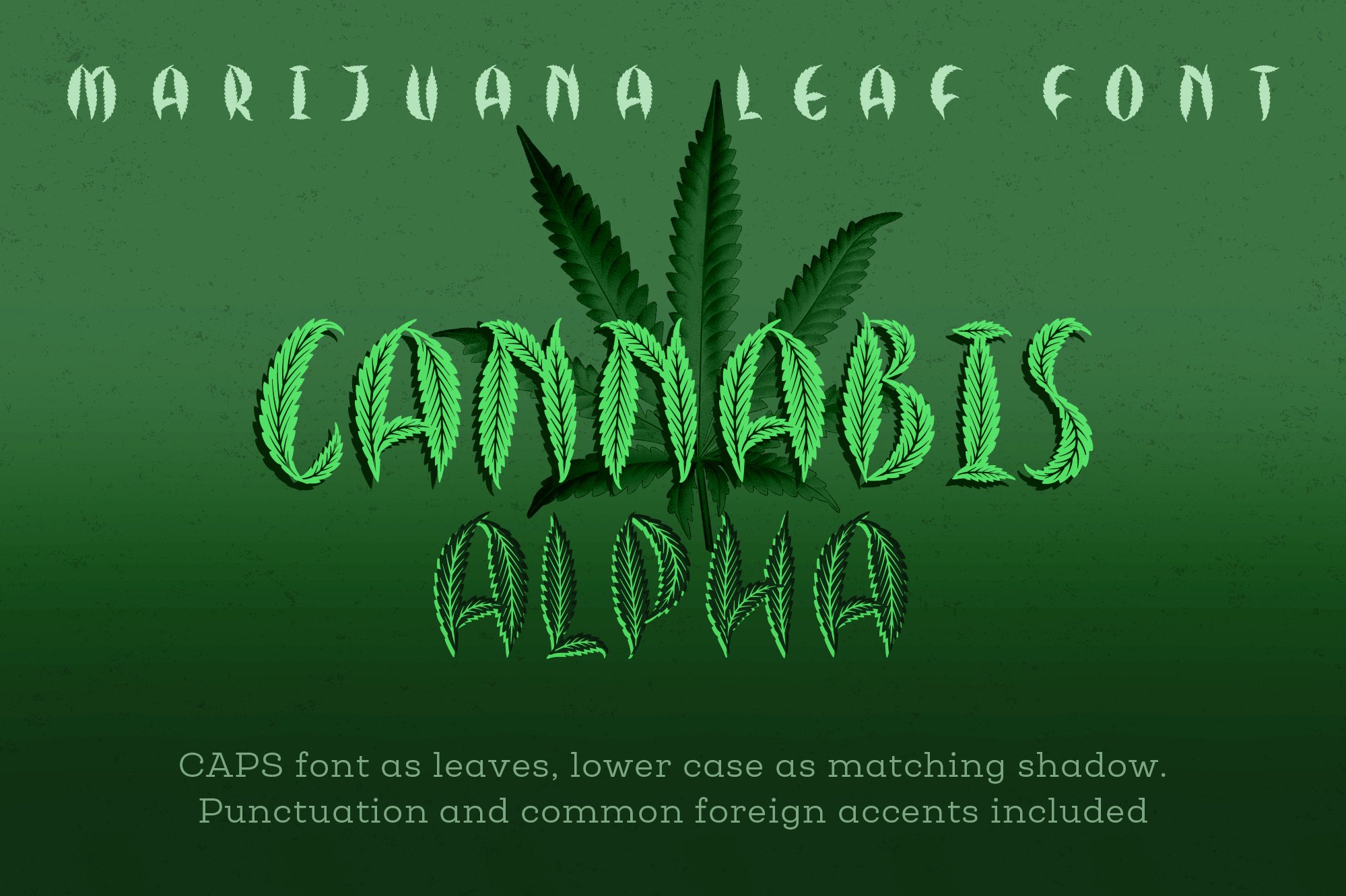 Cannabis Leaf Font - Hemp Leaf cover image.