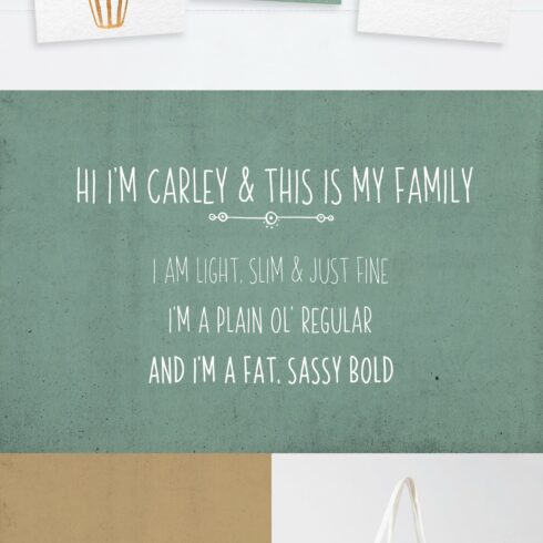 Skinny Font family Carley & Co. cover image.