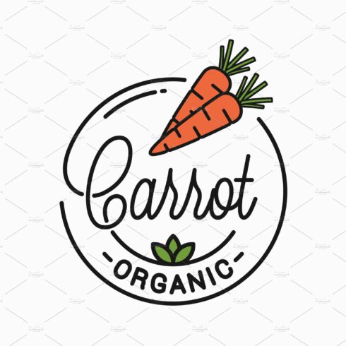 Carrot vegetable logo. cover image.
