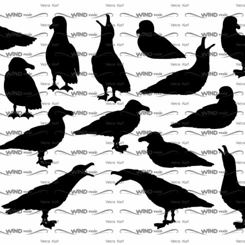 vector seagulls silhouet cover image.