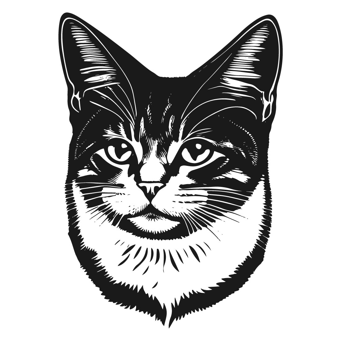5 Cats Editable Vector Illustration Bundle Set preview image.