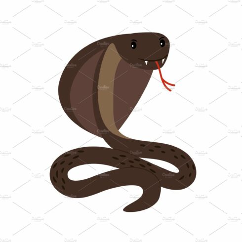 Cobra. Brown poisonous cobra snake attack position vector illustration on w... cover image.